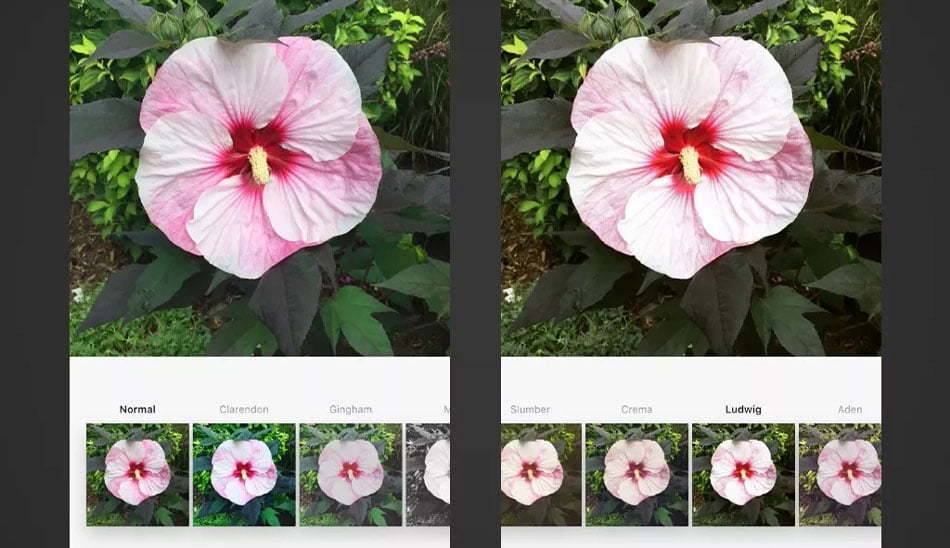 فیلترهای محبوب اینستاگرام